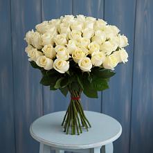 Букет 51 Белая роза Эдлесс Лав #REPLACE_PRED# Букачаче