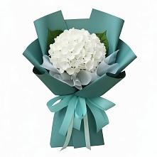 Букет цветов из:  Гортензия в Букачаче